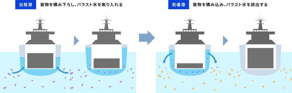 [出発港]貨物を積み下ろし、バラスト水を取り入れる　[到着港]貨物を積み込み、バラスト水を排出する