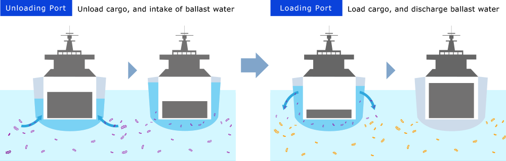 [Unloading Port]Unload cargo, and intake of ballast water　[Loading Port]Load cargo, and discharge ballast water