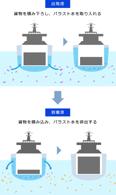 [出発港]貨物を積み下ろし、バラスト水を取り入れる　[到着港]貨物を積み込み、バラスト水を排出する